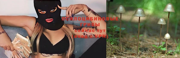а пвп мука Алзамай
