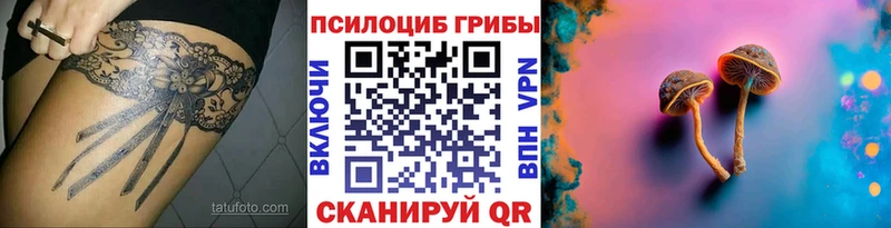 Галлюциногенные грибы Cubensis  Новопавловск 