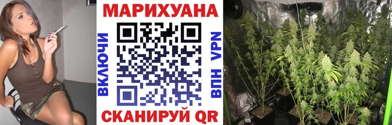 Шишки марихуана AK-47  как найти наркотики  Новопавловск 